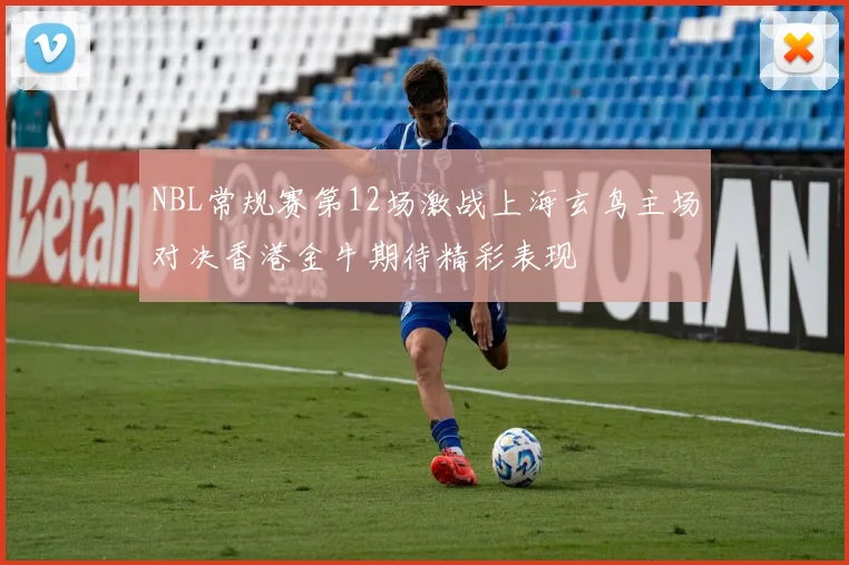 NBL常规赛第12场激战上海玄鸟主场对决香港金牛期待精彩表现