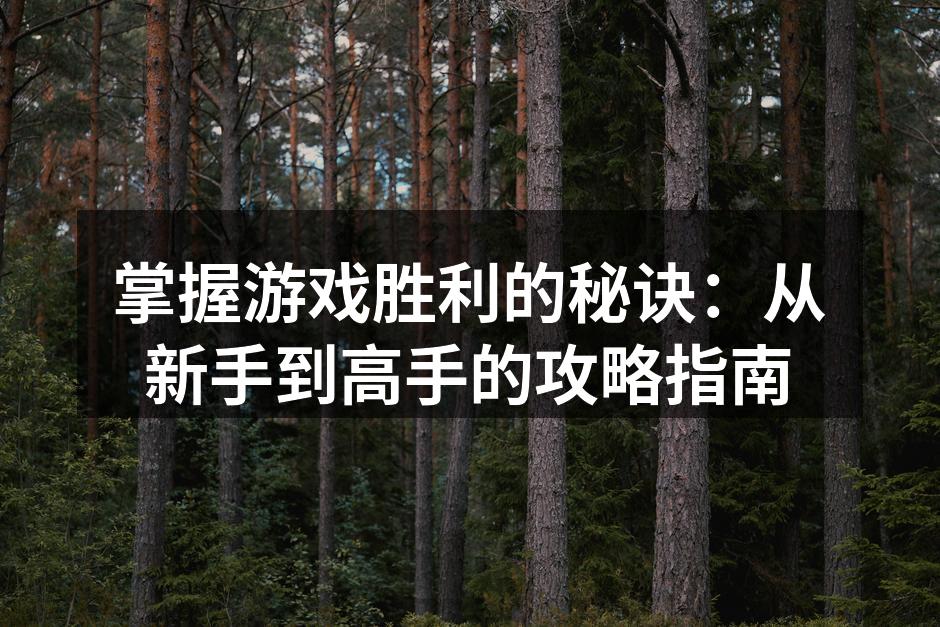 掌握游戏胜利的秘诀：从新手到高手的攻略指南